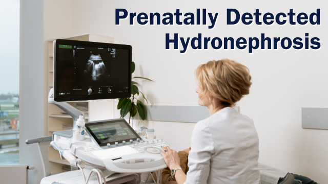 2024 EDW Pediatric Grand Rounds: Prenatally Detected Hydronephrosis Banner